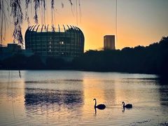 -东华大学(松江校区)