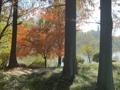 -采石矶景区