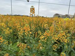 -中国天府农业博览园