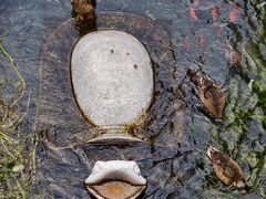 -水磨沟公园