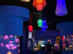 -太平洋海底世界