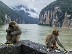 -白帝城·瞿塘峡景区