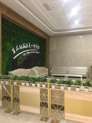 -玛丽亚妇产医院