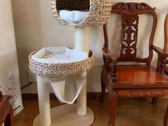 -宠爱多约克夏马尔济斯泰迪小型犬专卖