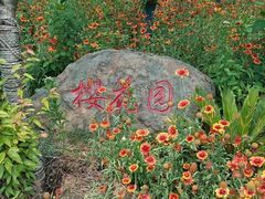 -石塘人家