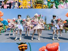-荷兰花海