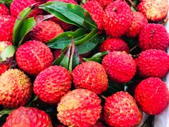 -上海龙吴水胜海发市场