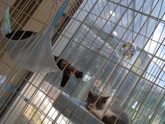 -猫的天空之城概念书店(北戴河蔚蓝海岸店)