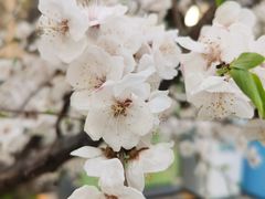 -张亮麻辣烫(哈尔滨金爵万象店)