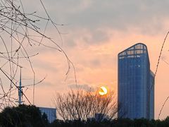 -院士公园