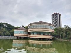 -金花茶公园