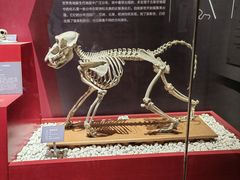 -国家自然博物馆