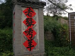 -老张烤羊(王哥庄店)