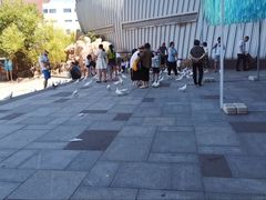 -烟台海昌鲸鲨海洋公园