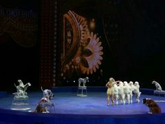 -珠海横琴长隆《卡卡虎奇遇记》