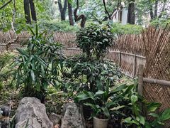 -申粤轩酒楼·三十年粤菜经典(丁香花园店)