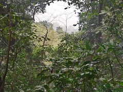 -梧桐山风景名胜区