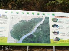 -羚羊峡古栈道森林公园