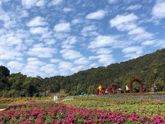 -广州市石门国家森林公园