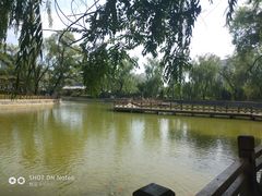 -迎泽公园