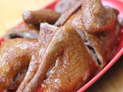 -光明刘冰乳鸽店(光明法政北路店)