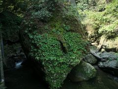 -周洛大峡谷