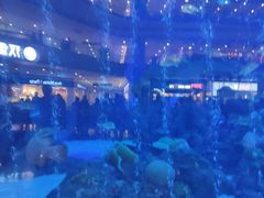 -成都浩海立方海洋公园