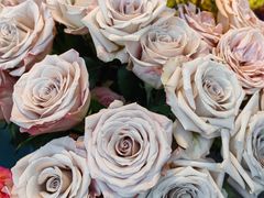 -循礼门鲜花花市(武汉循礼门店)