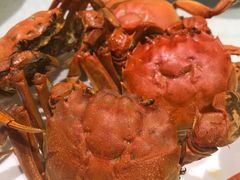 -蓬川食府(金海道店)