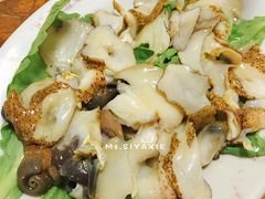 -金砂阿洲鱼册店