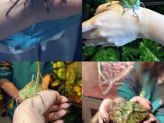 -重庆欢乐海底世界