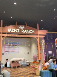 -meland亲子乐园(北京亦庄龙湖天街店)