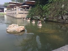 -杭州西子湖四季酒店·金沙厅