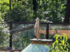 -沈阳森林动物园