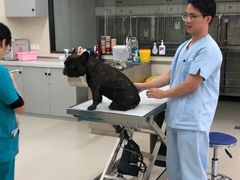 -爱妮康宠物医院·干细胞免疫细胞·肿瘤·心脏(张江店)