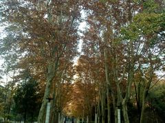 -北京航空航天大学-图书馆