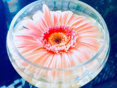 -唐拉雅秀酒店-西锦汇空中BBQ·思创餐厅