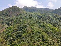 -梧桐山风景名胜区