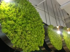 -蒙小妹骨汤饭.米线(新光路店)