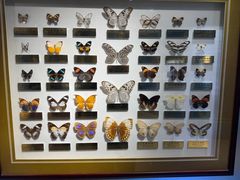 -上海昆虫博物馆