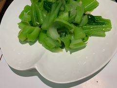 青菜-金碧轩粤菜海鲜大酒楼