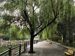 -上海千禧海鸥大酒店