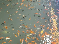 -党河风情线国家水利风景区