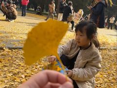 -蓝莓果幼儿园(通州梨园店)