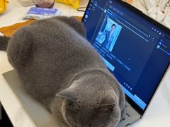 -暖阳宠物医院·犬猫康复中心·骨科