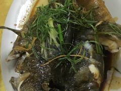 石斑鱼-明记海鲜美食老字号(明记总店)