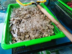 -马王堆海鲜水产市场