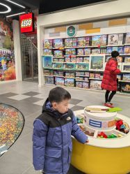 -乐高品牌旗舰店(人民广场店)