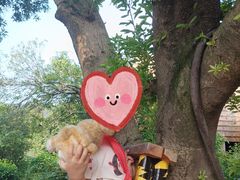 -杭州开元森泊度假乐园