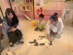 -猫咪博物馆(顶澳仔猫街店)